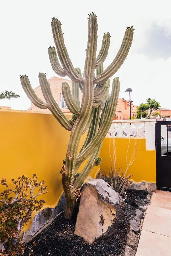 Casa Maui Villa Corralejo